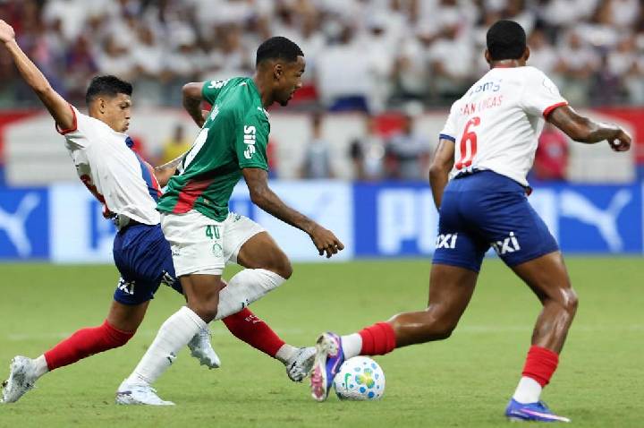 Palmeiras mantém liderança; Flamengo vence e Botafogo leva clássico na 10ª rodada do Brasileirão
