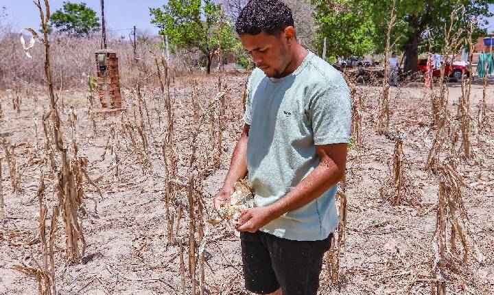 Piauí inicia 2026 com todos os municípios sob algum nível de seca