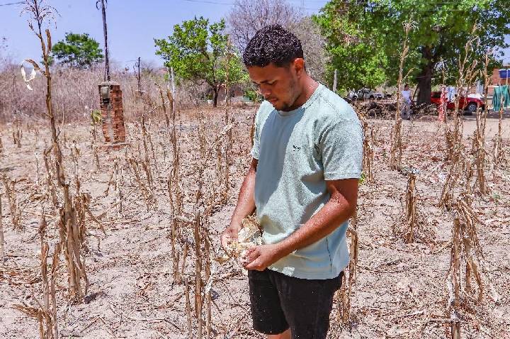 Piauí inicia 2026 com todos os municípios sob algum nível de seca