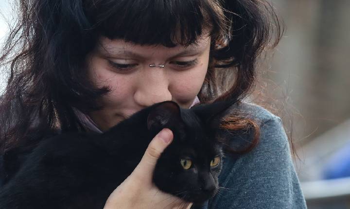 Programa da Prefeitura de SP faz castração gratuita de cães e gatos