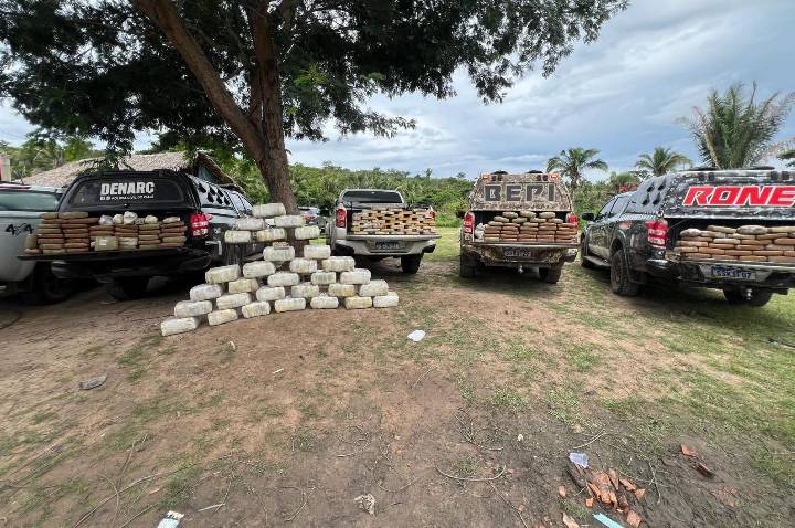SSP-PI apreende 600 kg de drogas em operação na zona rural de Caxias