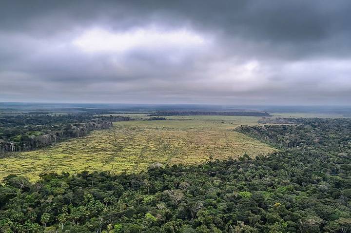 STF suspende todos os processos do país sobre Moratória da Soja 