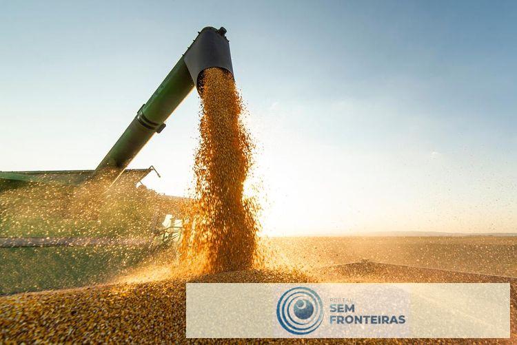 Balança Comercial do Piauí alcança a marca de R$ 1 bilhão em exportação no mês de julho