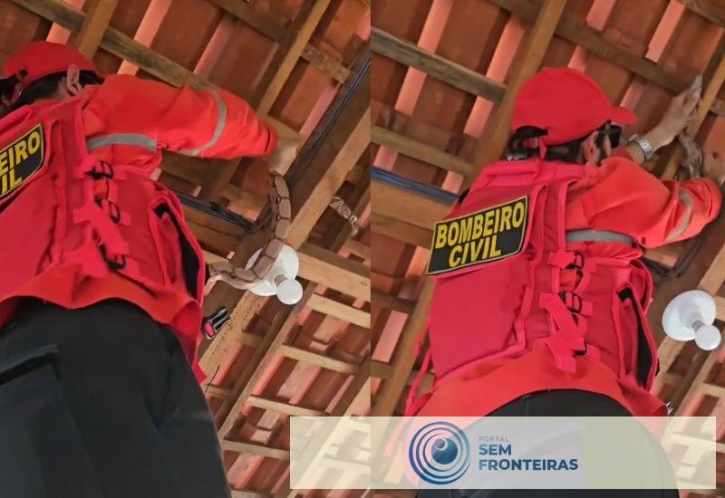 Bombeiros resgatam cobra Jiboia em capela do bairro Flor dos Campos