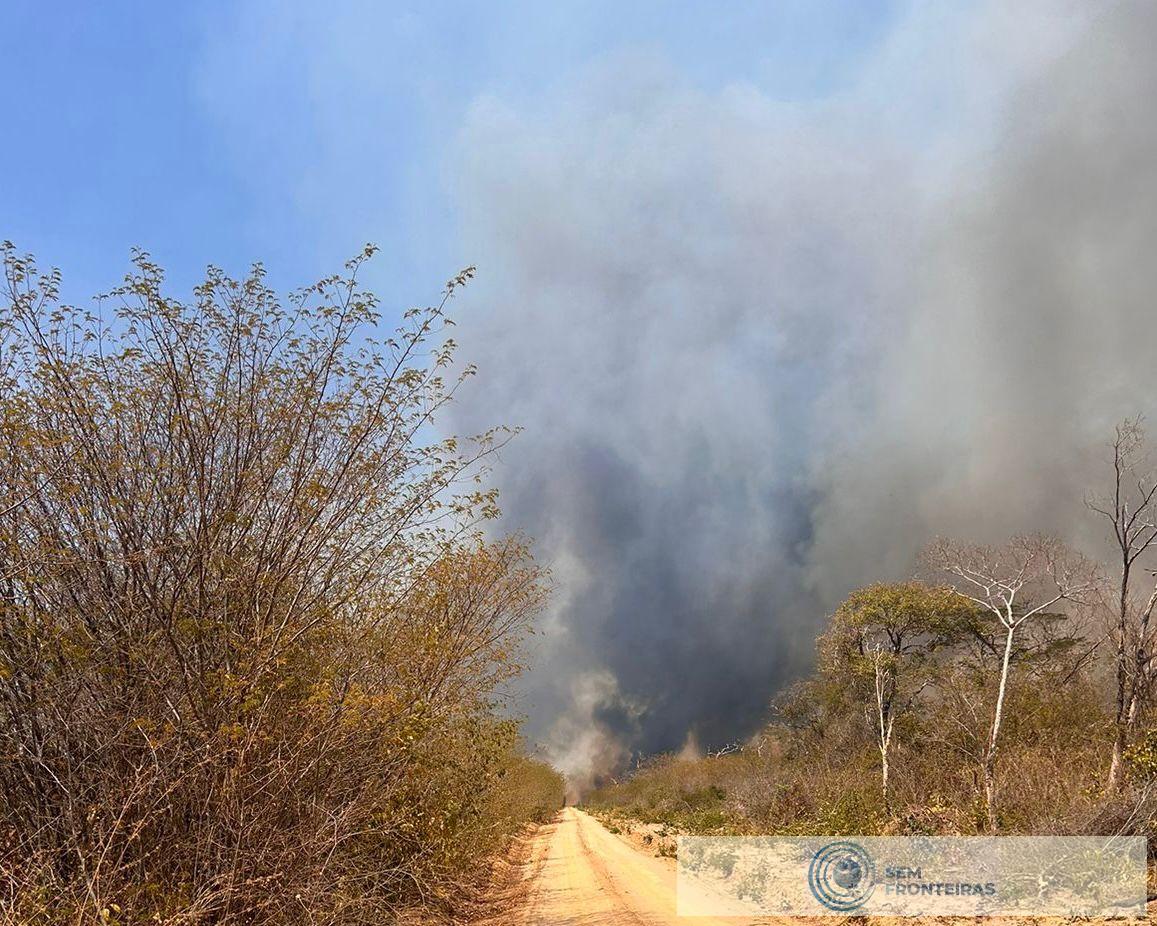 Incêndios florestais no mês de setembro de 2024 apresentaram queda de 47% em relação a 2023
