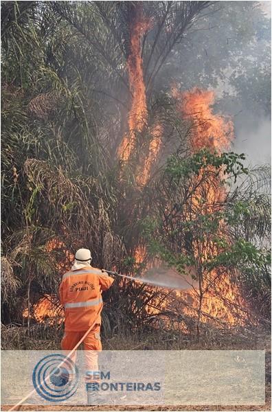 Incêndio na fronteira entre Piauí e Ceará é controlado