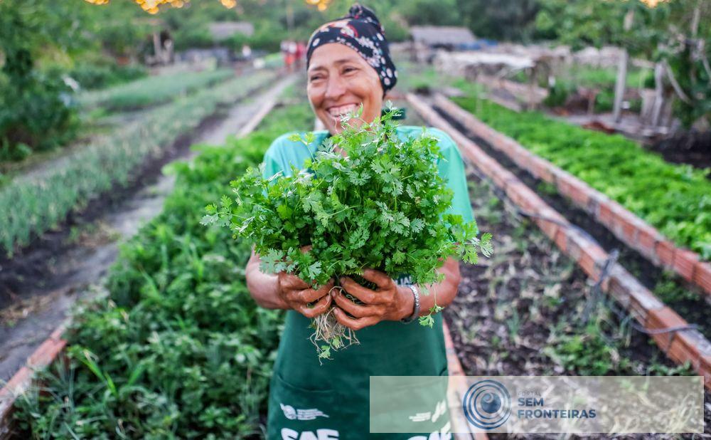 Censo 2022: 31% da população do Piauí vive no campo, o maior percentual do país