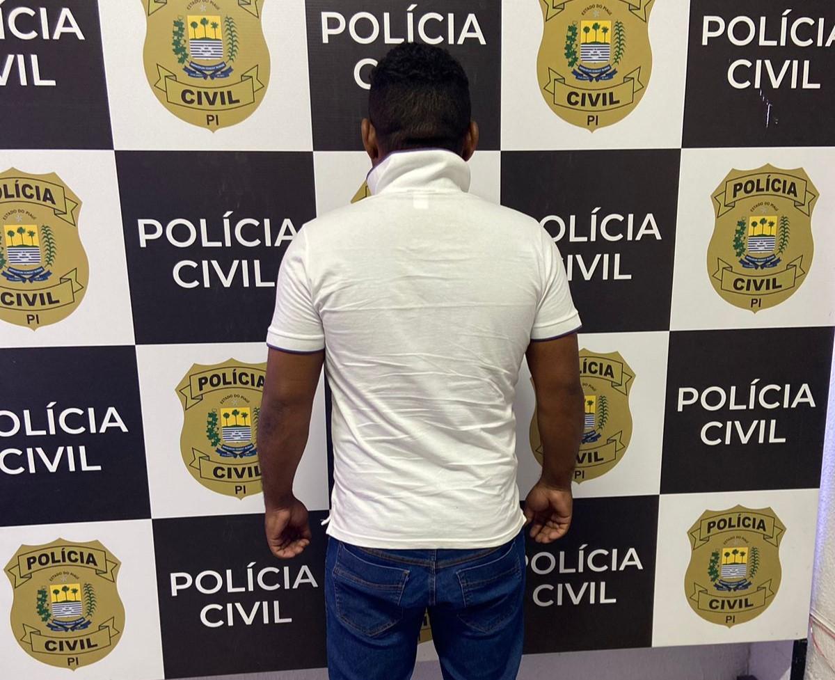 Polícia Civil de Piripiri prende suspeito de furtos em operação da DEPATRI