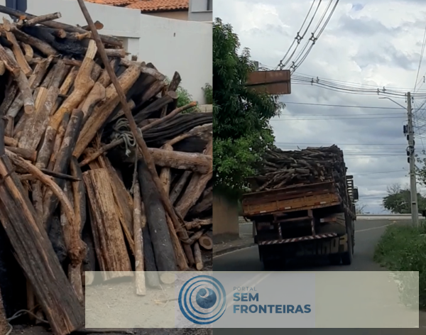Carga de madeira cai de caminhão no centro de Piripiri e motorista segue sem prestar socorro