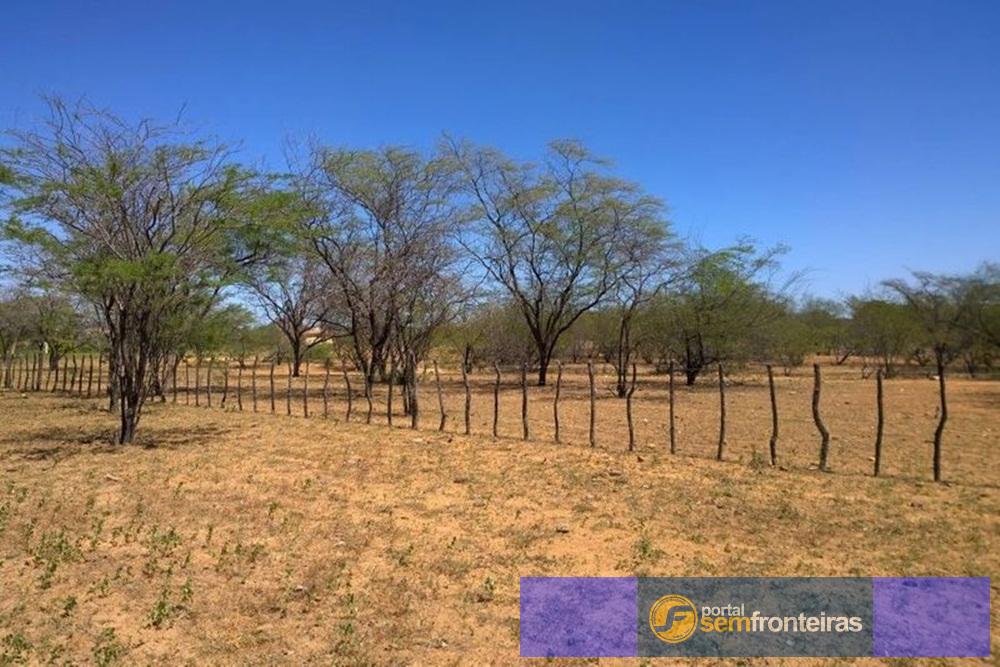 Governo Federal reconhece emergência em 66 municípios do Piauí por causa da estiagem
