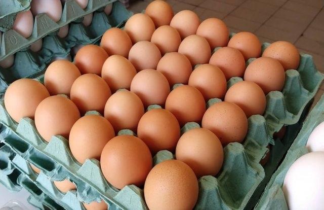 Preço dos ovos sobe até 40% e pressiona inflação dos alimentos