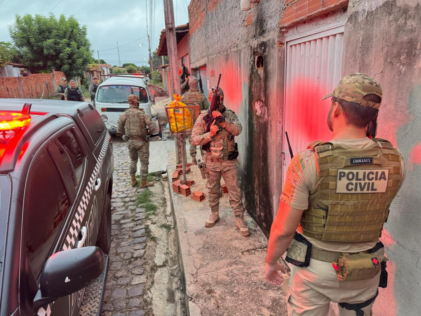 Polícia Civil do Piauí realiza Operação Falso Vet e prende cinco por maus-tratos e exercício ilegal da veterinária
