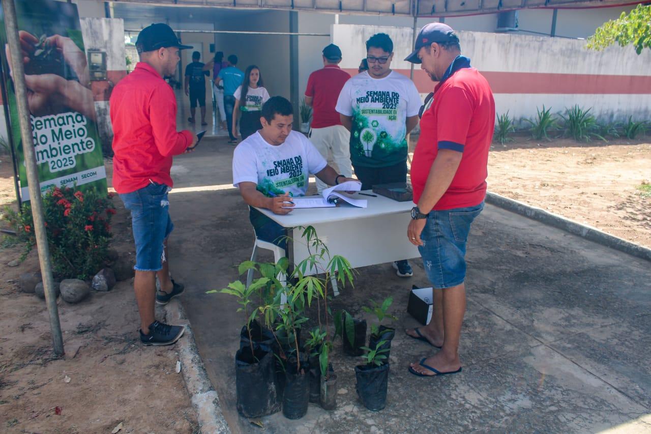 Piripiri distribui 2 mil mudas gratuitas durante Semana do Meio Ambiente e incentiva plantio sustentável