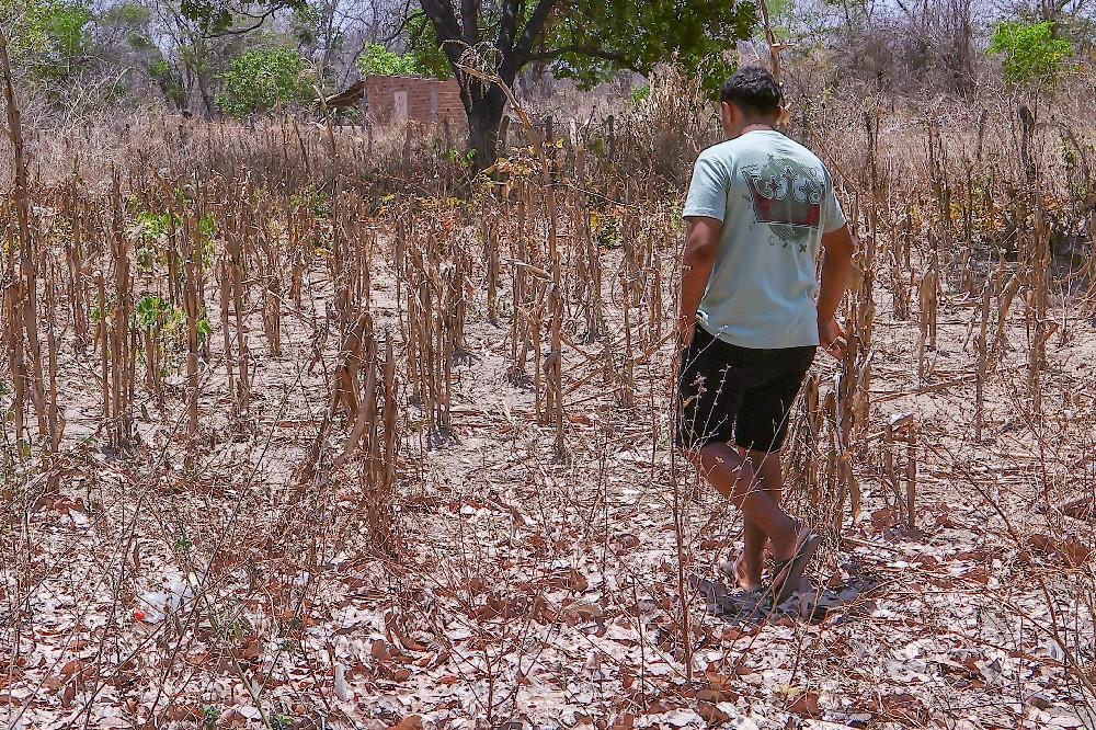 Estiagem castiga o Piauí e mobiliza ações emergenciais em mais de 120 municípios