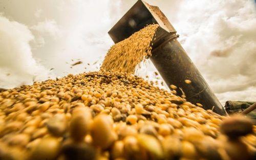 Exportações do Piauí têm superávit de R$ 318 milhões em novembro