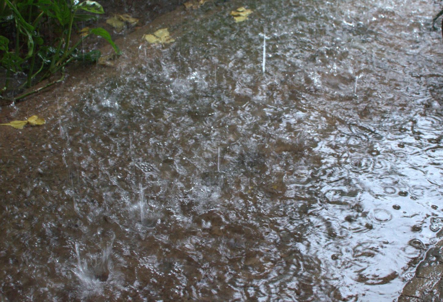Chuvas ganham força no Piauí: Semarh prevê precipitações intensas até o fim de fevereiro