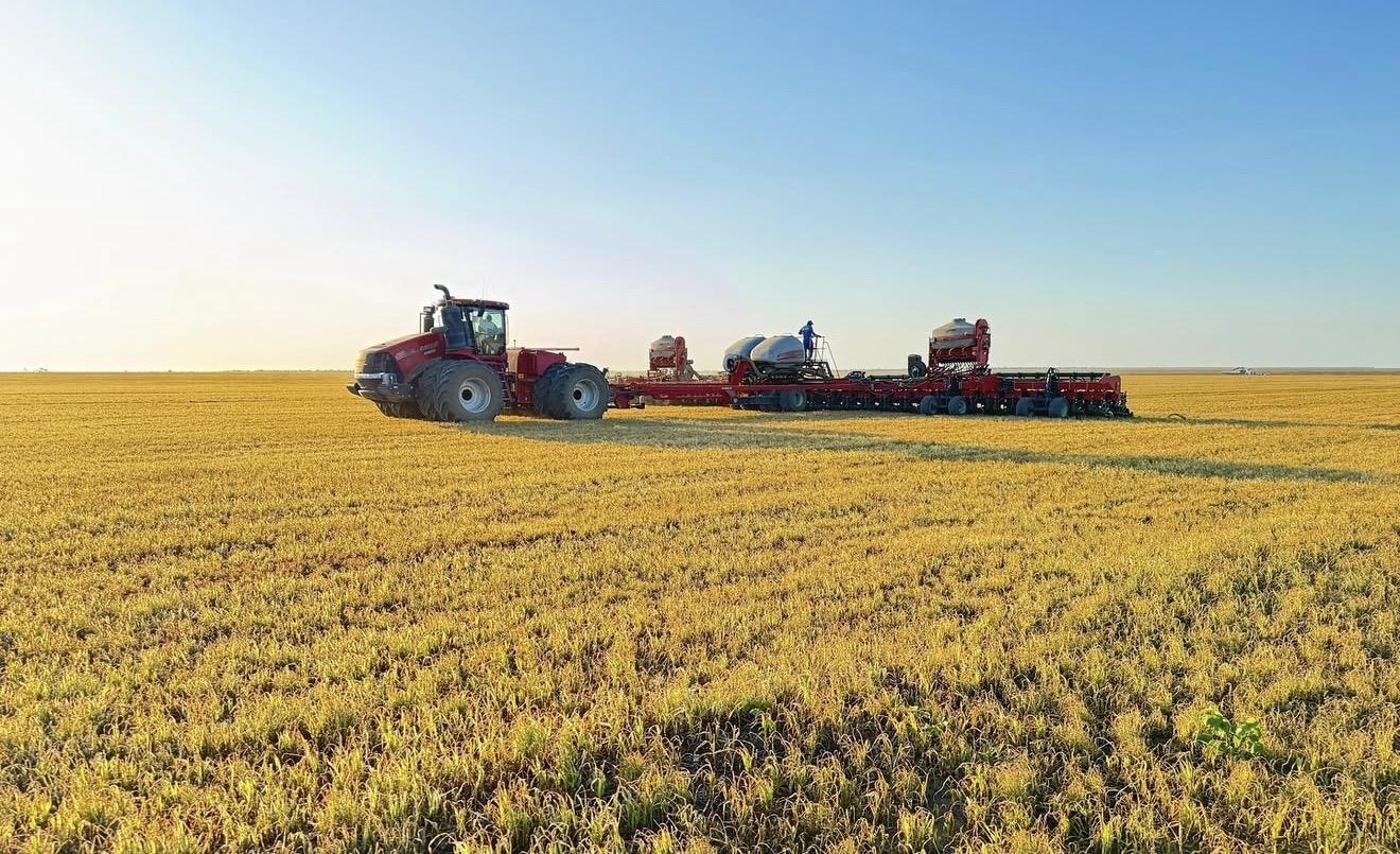 Uruçuí no Piauí se consolida como polo estratégico do agronegócio no MATOPIBA