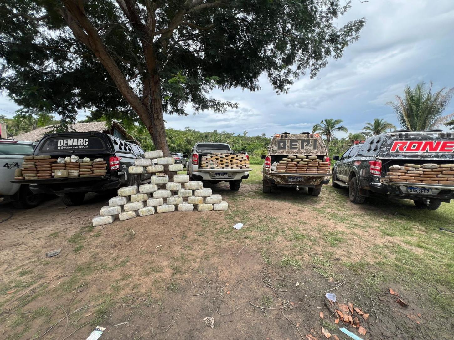 SSP-PI apreende 600 kg de drogas em operação na zona rural de Caxias