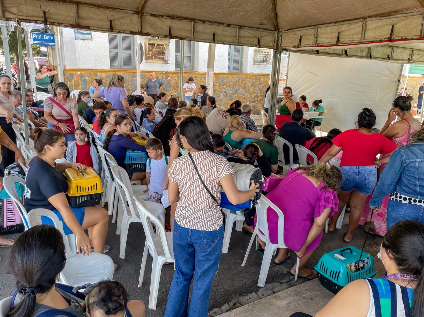 Piripiri recebe unidade móvel de castração e disponibiliza 1.500 procedimentos gratuitos para pets
