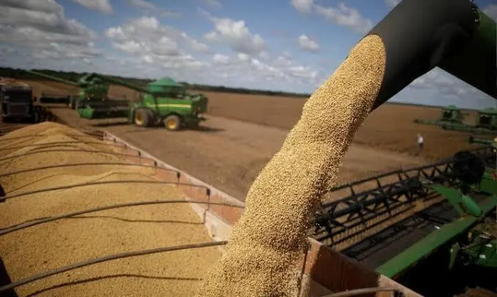 Balança Comercial do Piauí registra superávit de R$ 573 milhões em abril