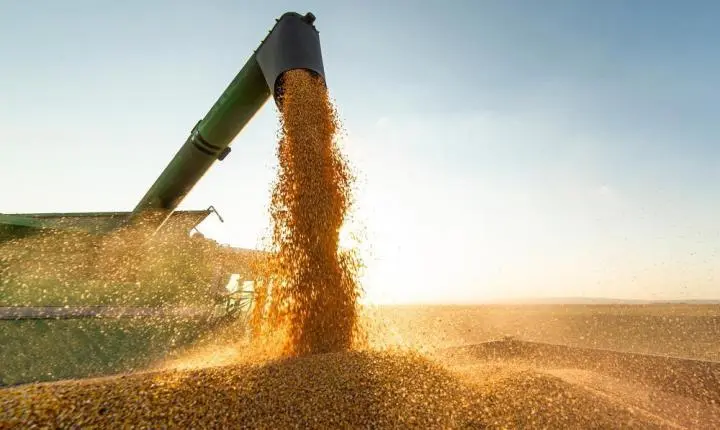 Balança Comercial do Piauí teve crescimento de 13% em junho e indica recuperação das exportações do estado