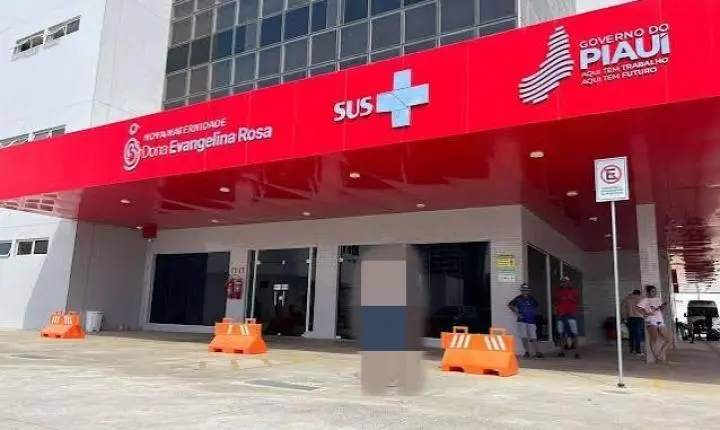 DPCA prende mulher suspeita de tentar sequestrar recém-nascida na Maternidade Evangelina Rosa