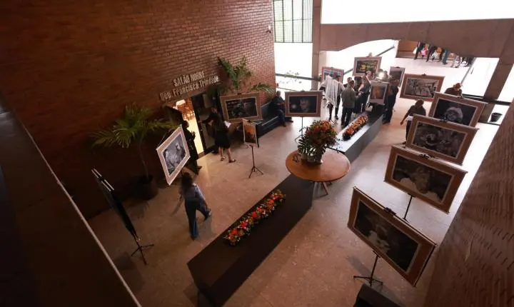 Exposição na Alepi celebra legado de Niède Guidon