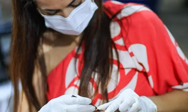 Festa das Mães promovida pela Prefeitura de Piripiri reúne grande público e sorteia moto 0 km