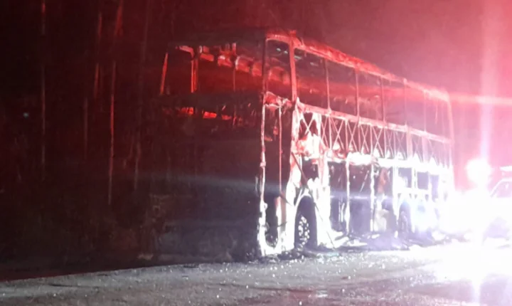 Ônibus de turismo é destruído por incêndio na BR-343, no Norte do Piauí