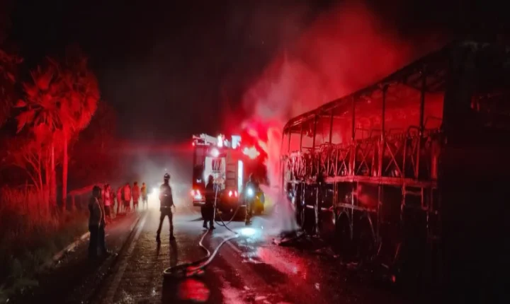 Ônibus de turismo é destruído por incêndio na BR-343, no Norte do Piauí