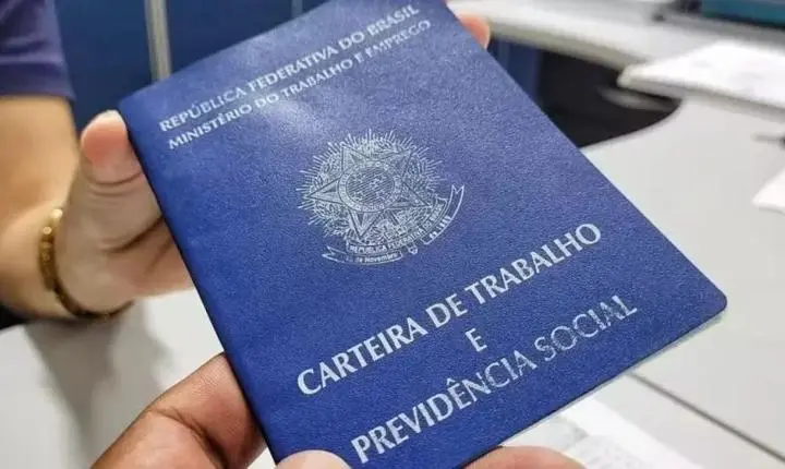 Piauí lidera o Nordeste e alcança 4º lugar no Brasil na geração de empregos