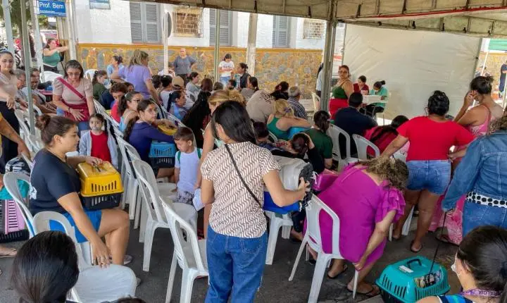 Piripiri recebe unidade móvel de castração e disponibiliza 1.500 procedimentos gratuitos para pets