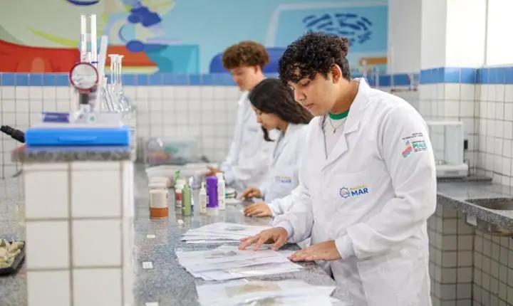 Porto Piauí e Escola do Mar: parceria abre caminho para novos talentos
