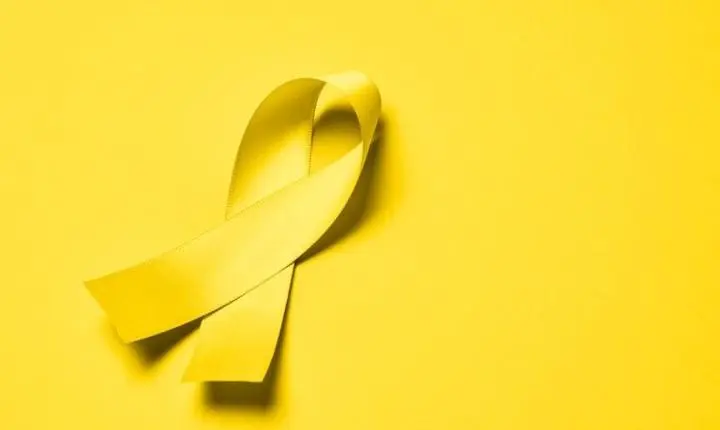 Sesapi reforça importância do cuidado com a saúde mental e orienta sobre serviços de apoio