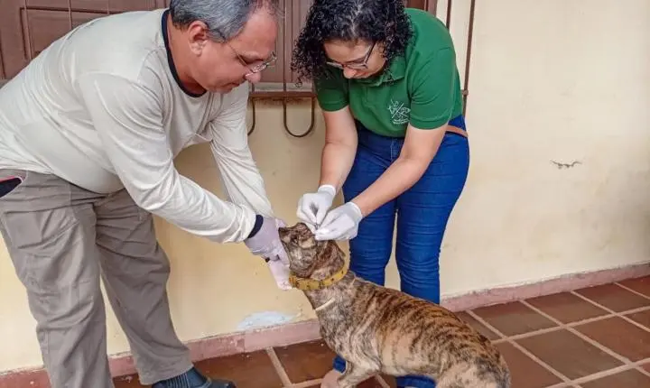 Vigilância em Saúde Ambiental fortalece ações de combate a doenças e monitoramento da água em Piripiri